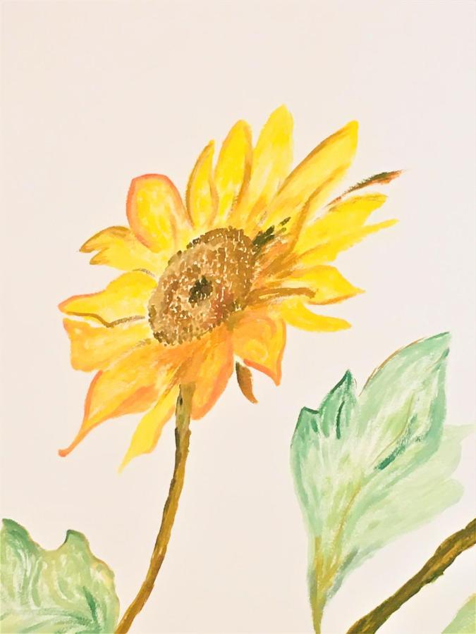 Il Girasole Daire Caprino Veronese Dış mekan fotoğraf